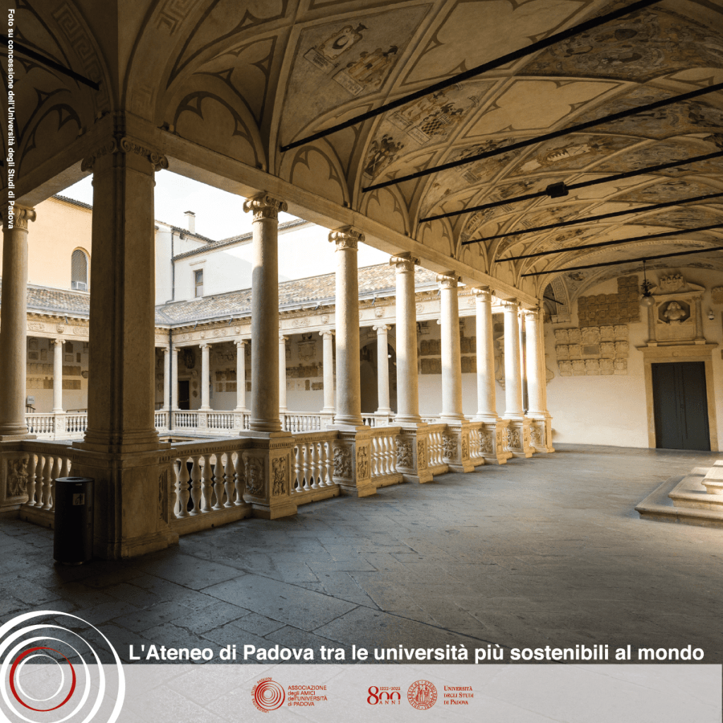 Post 23 dicembre_Tavola disegno 1-21
