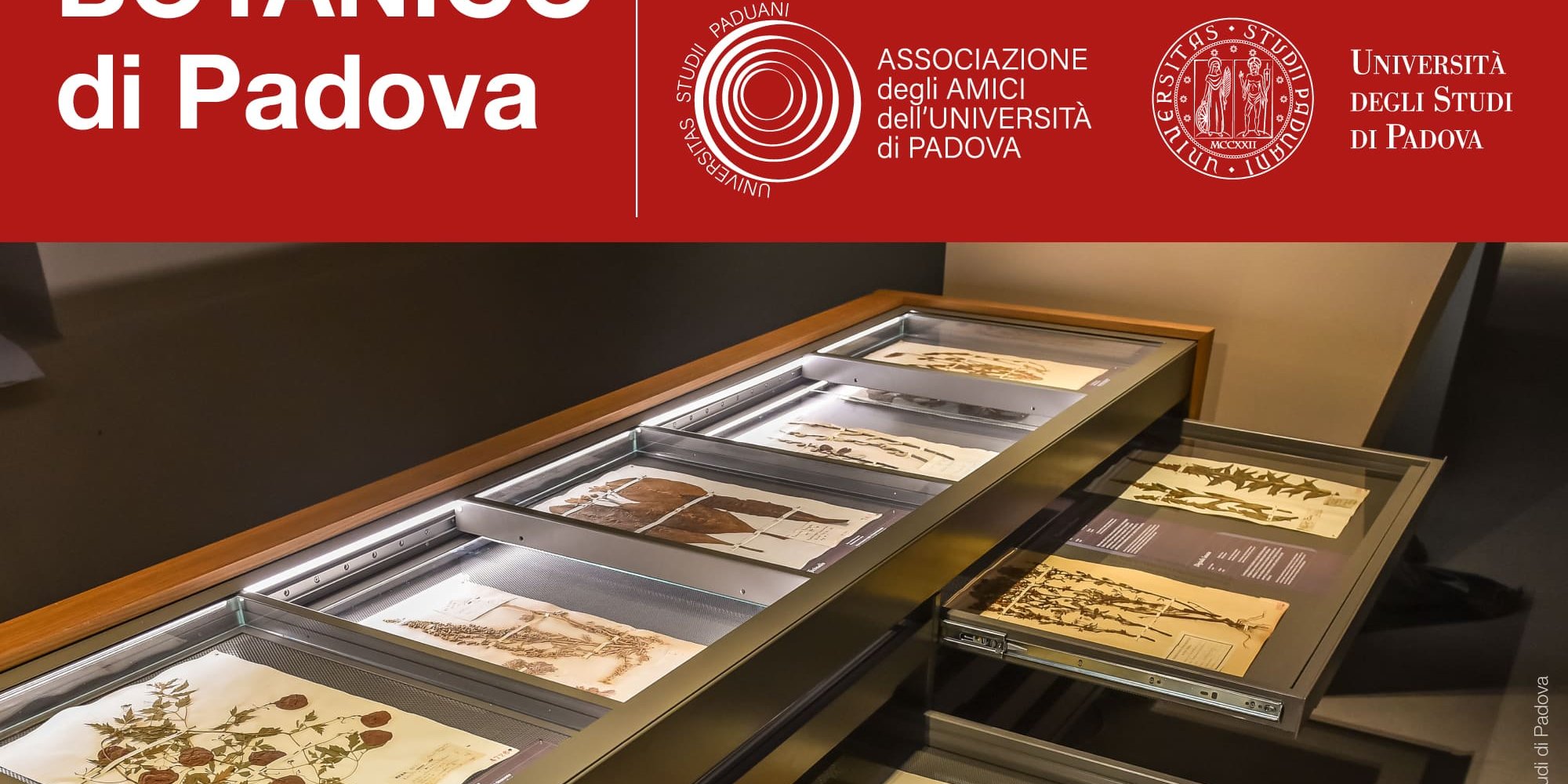 Post Amiciunipd Orto 02 (1)