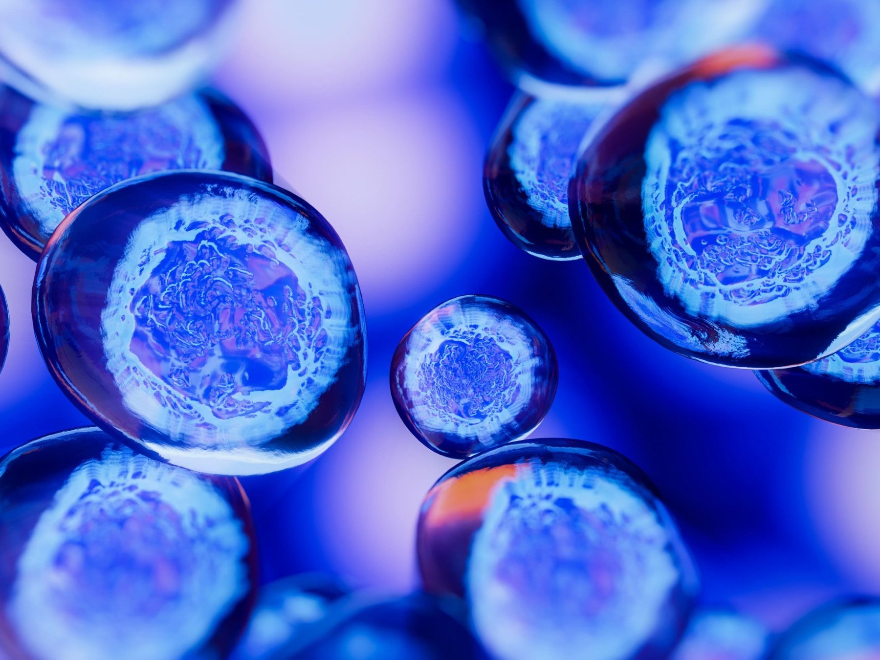 AdobeStock 299322194 (1)